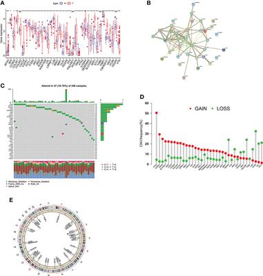 Frontiers | Molecular Subtypes, Clinical Significance, And Tumor Immune ...